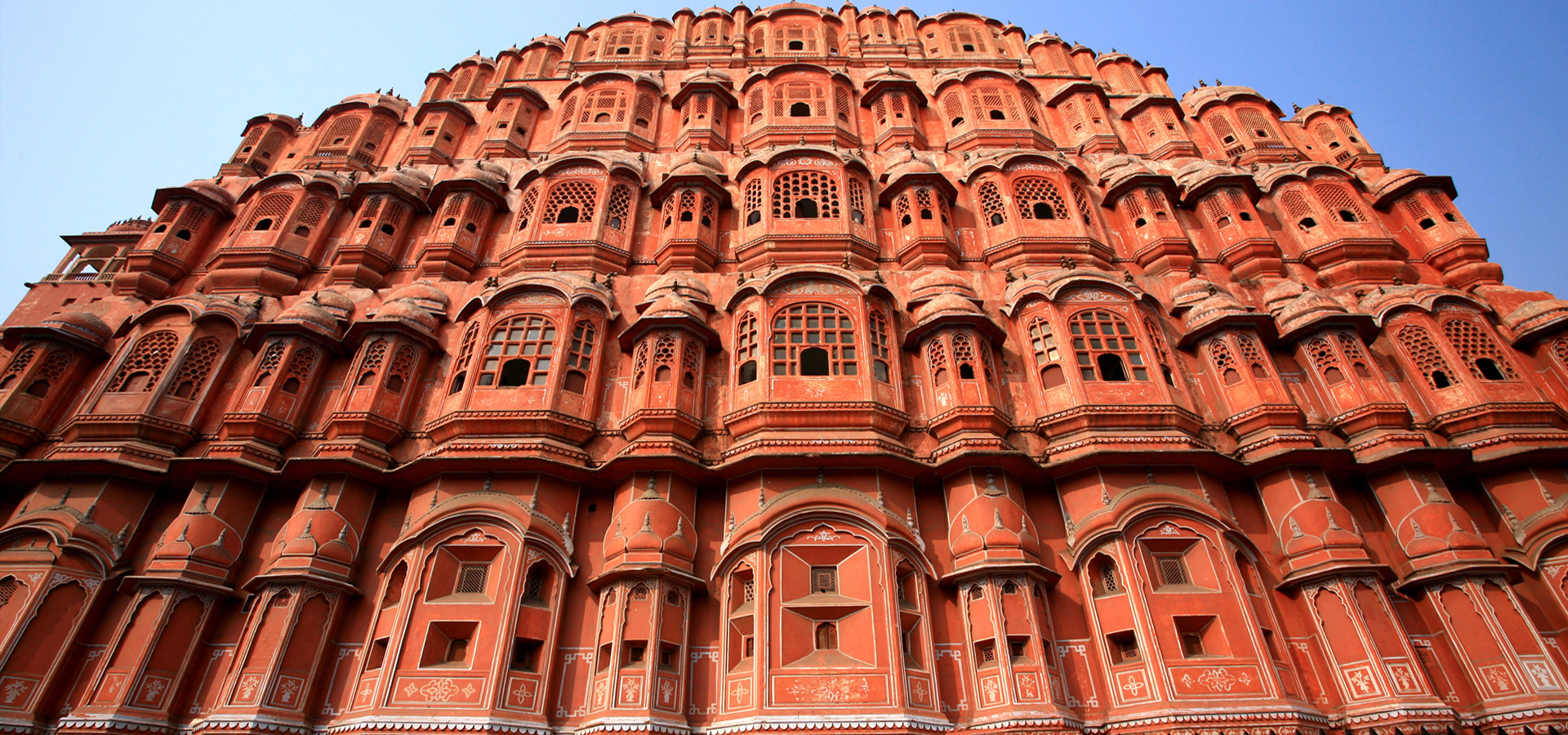 Golden Triangle Delight